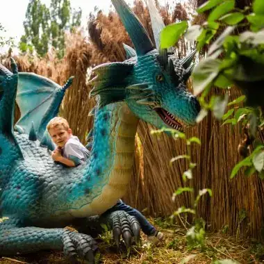 Dino & dragon rides