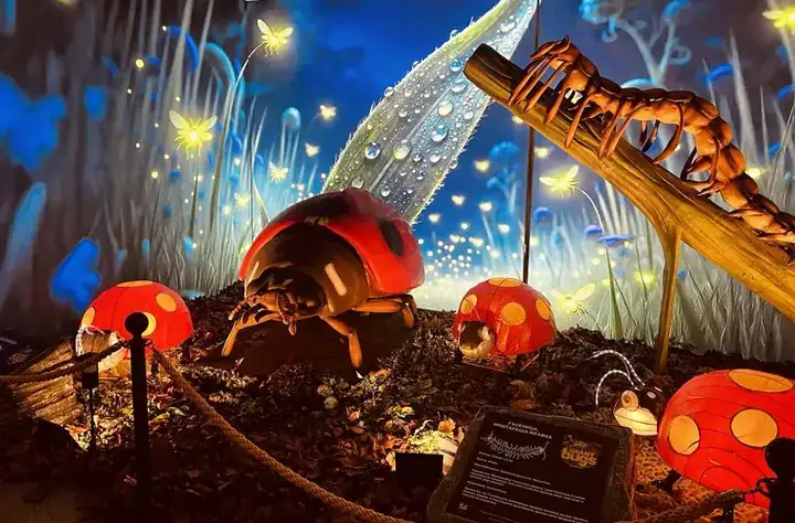 Giant Bugs photo 1