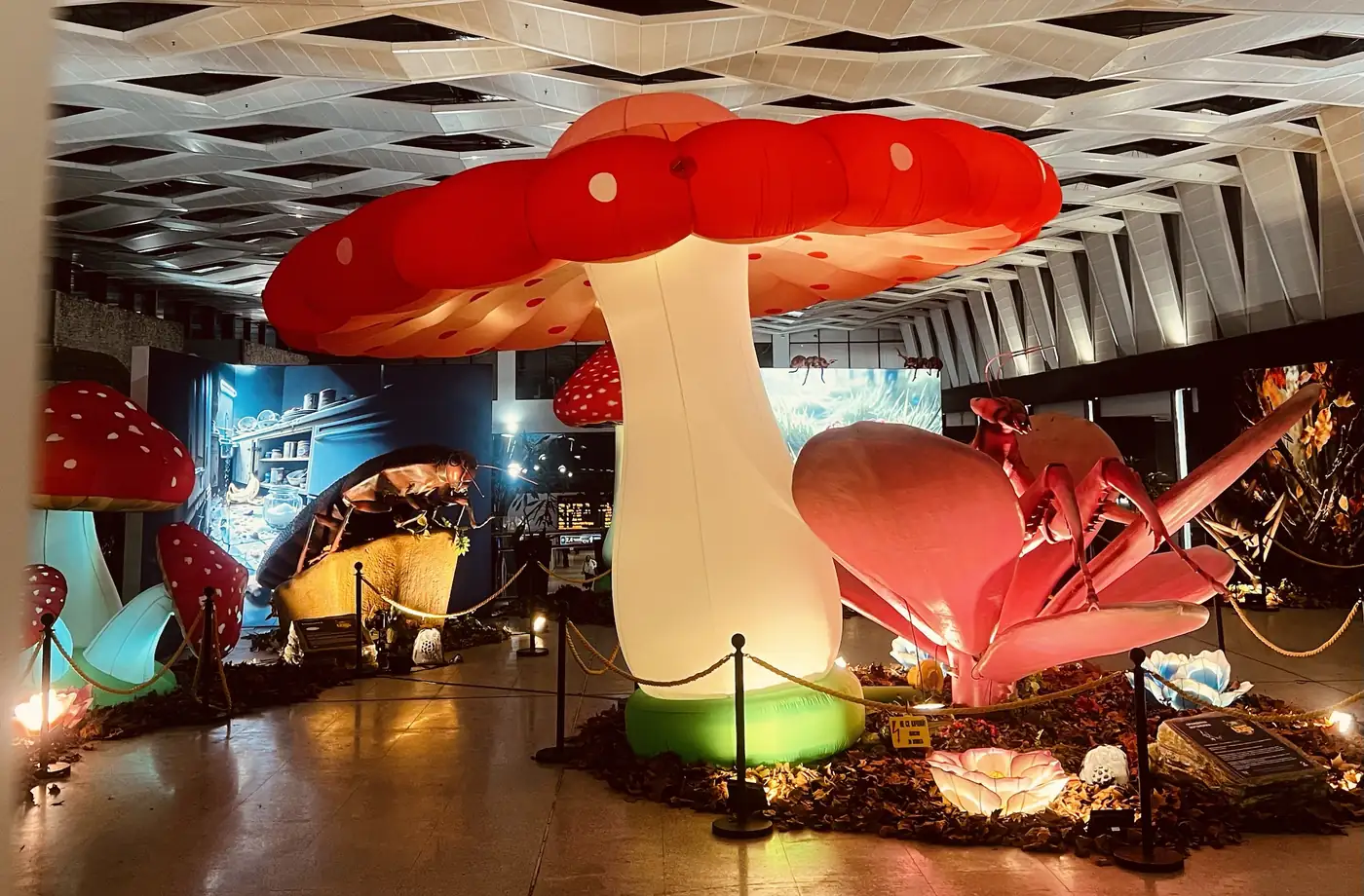 Giant Bugs & Dino Planet at Sofia Central Station