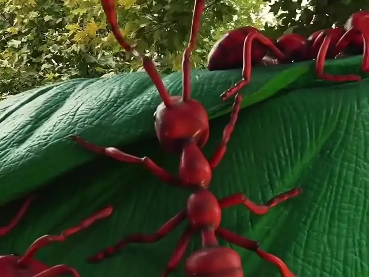 Giant red ants on a leaf
