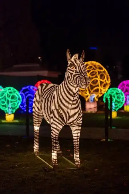 Glowing Garden photo 2