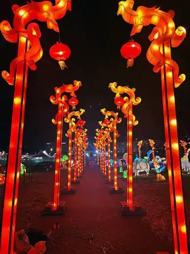 Glowing Garden photo 4