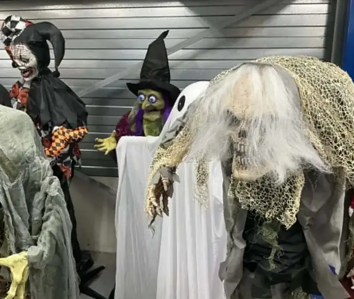 Halloween decoration photo 6