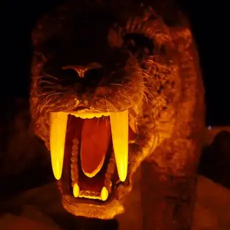 Ice Age photo 2
