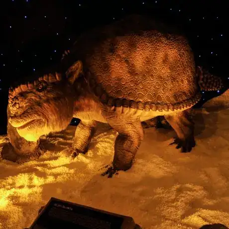 Ice Age photo 3