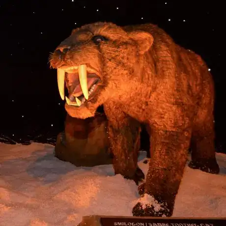 Ice Age photo 4