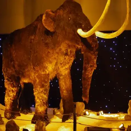 Ice Age exhibition