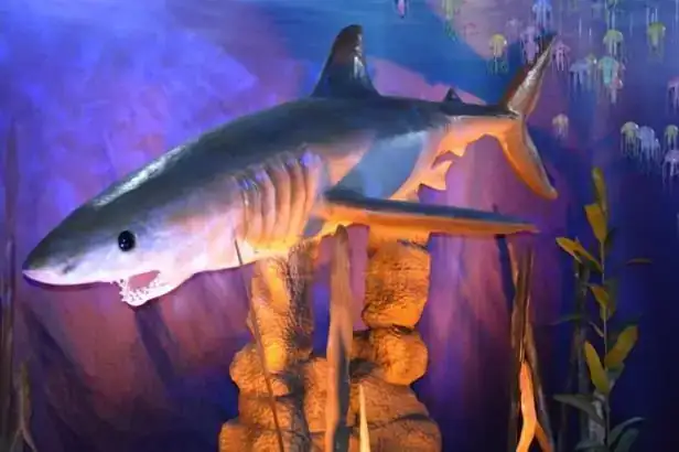 Monsters of the Sea exhibition